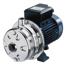 ebara 2cdx